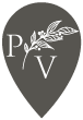 pin-pvp